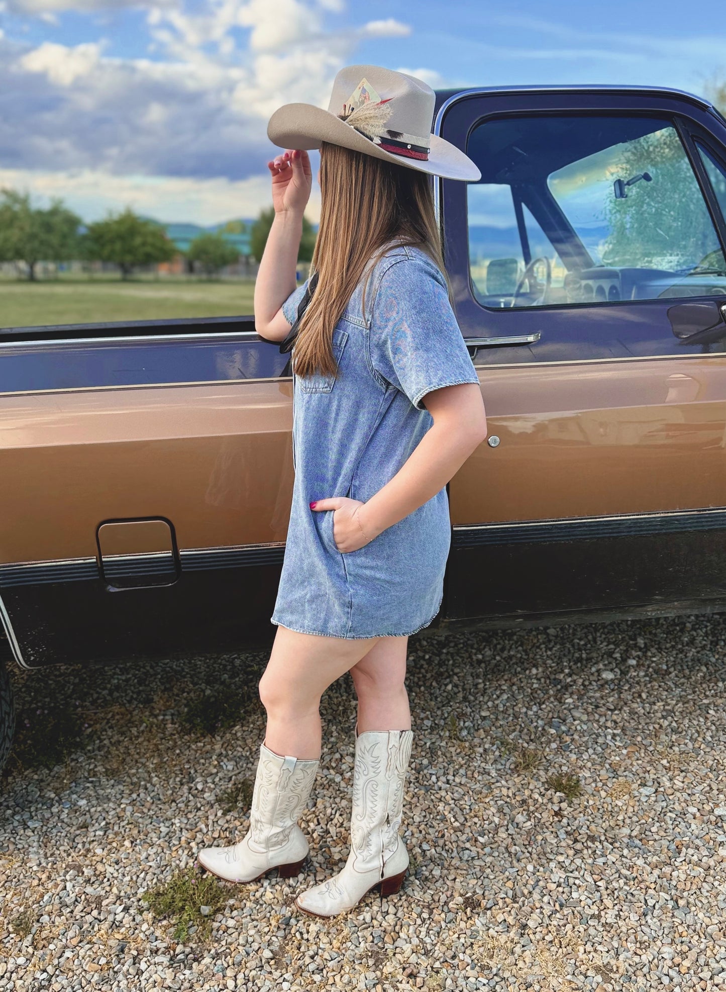Dust & Denim Dress