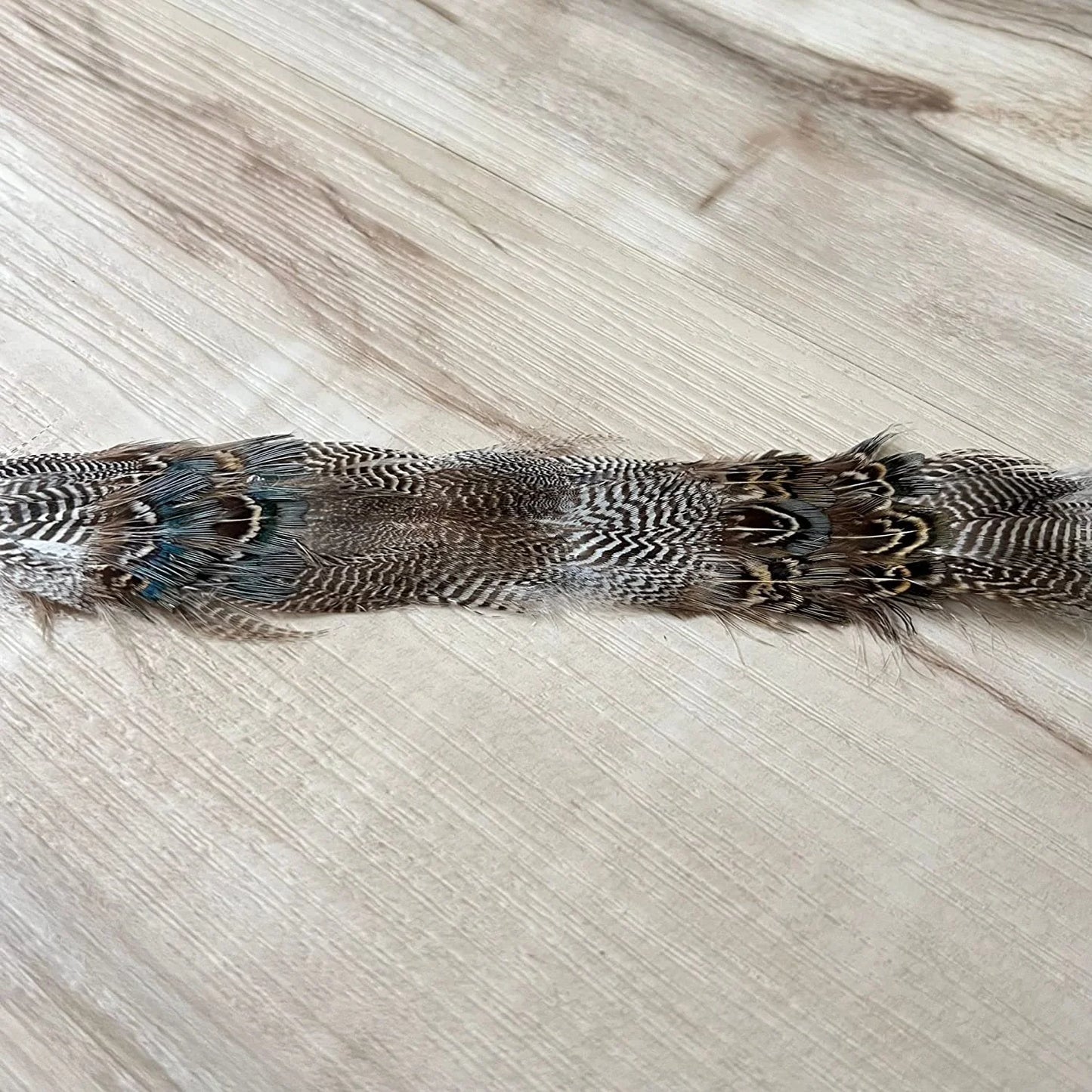 Arikara Feather Hatband