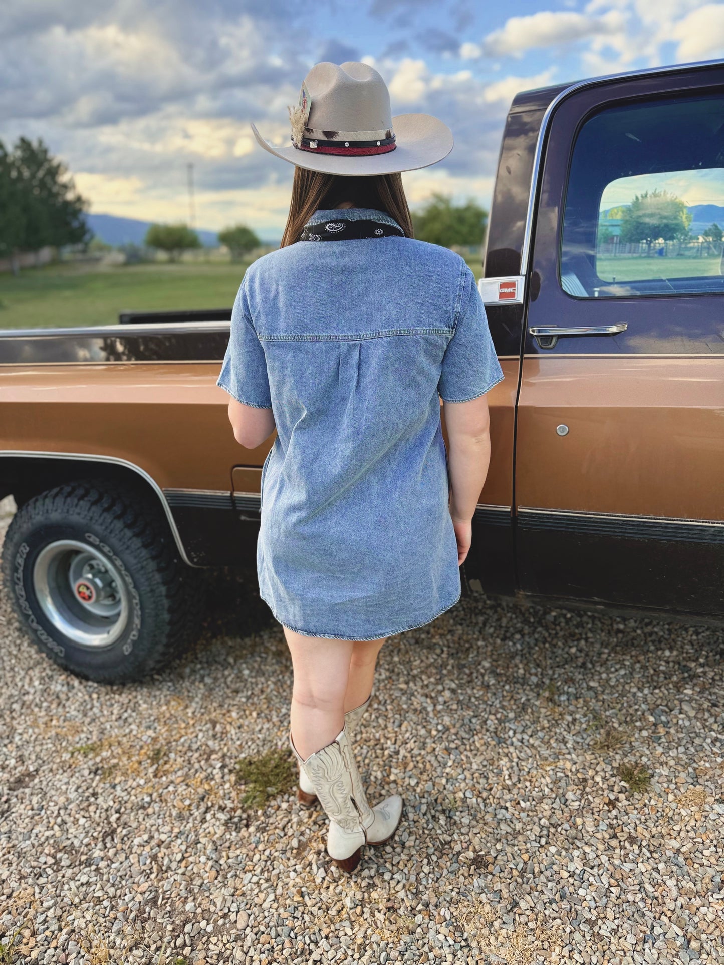Dust & Denim Dress