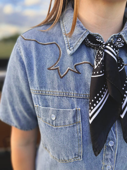 Dust & Denim Dress