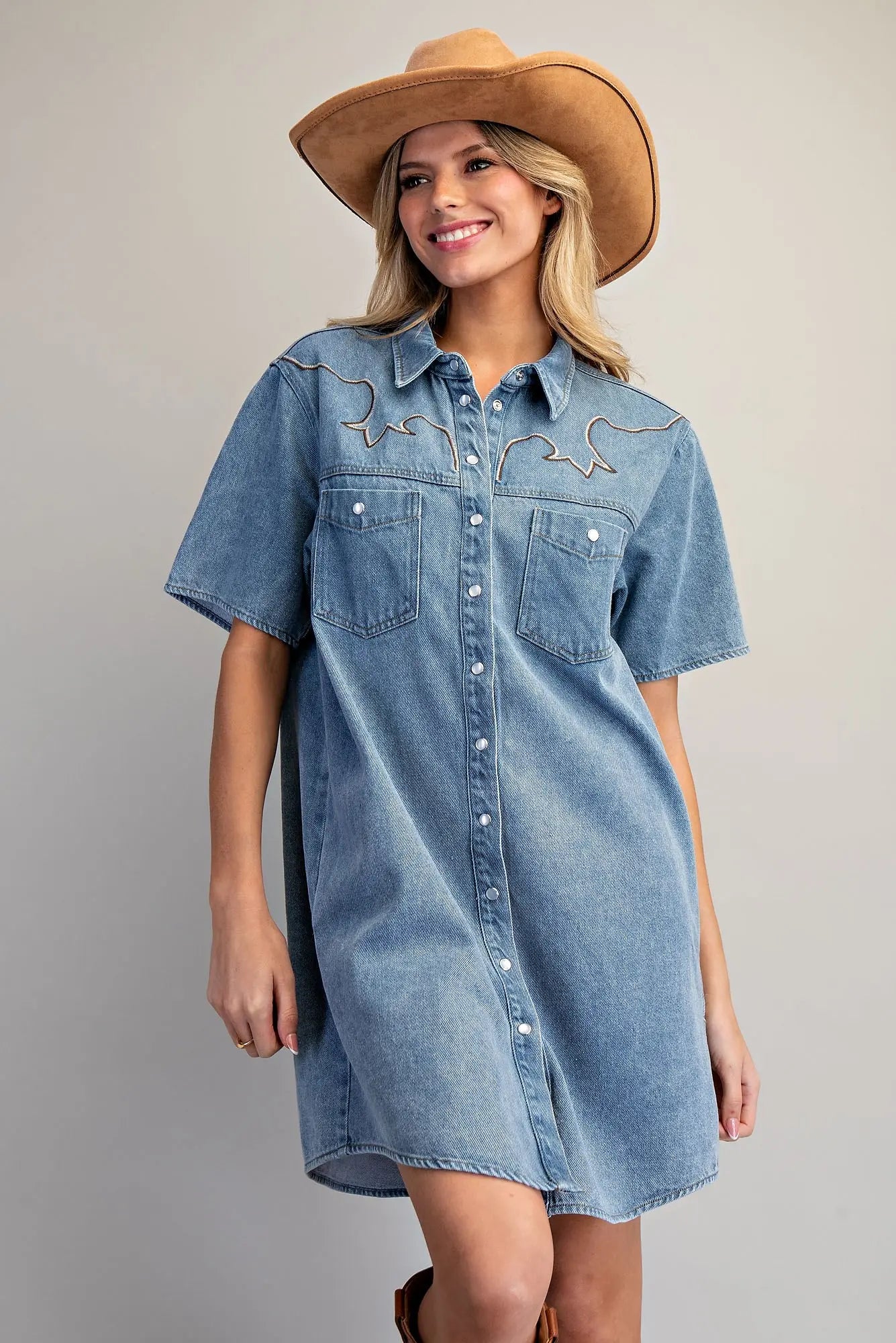 Dust & Denim Dress