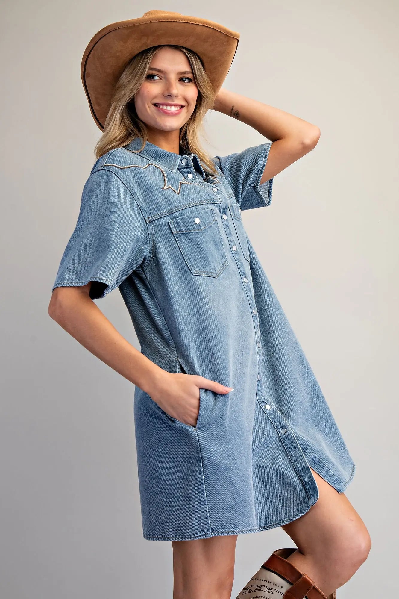 Dust & Denim Dress