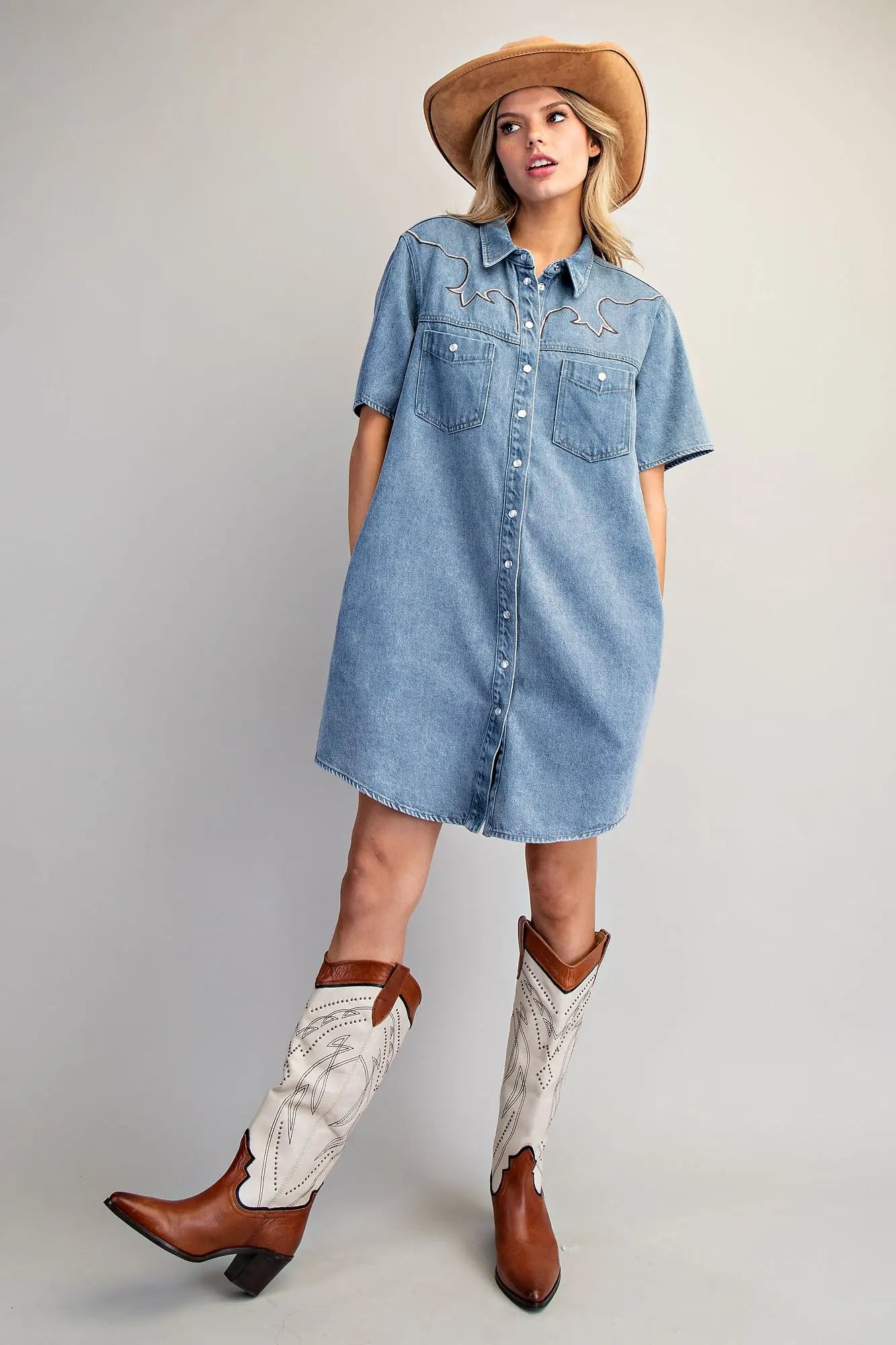 Dust & Denim Dress