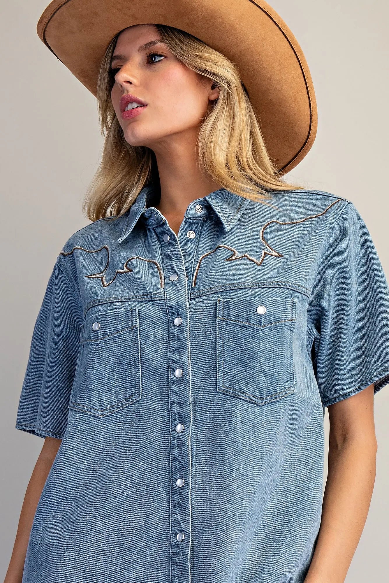 Dust & Denim Dress