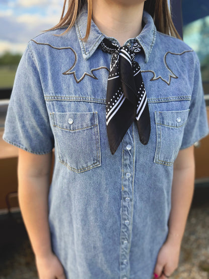 Dust & Denim Dress