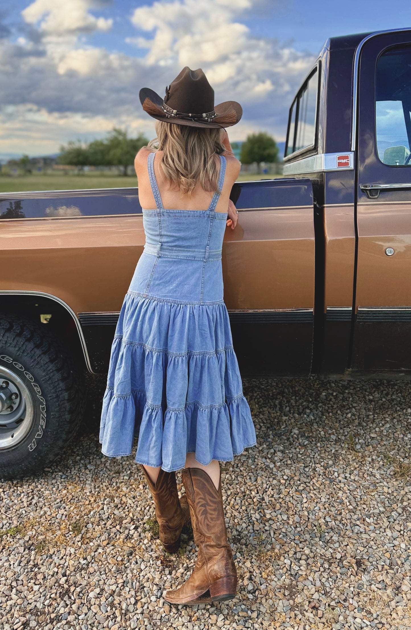 The Bluebird Denim Dress
