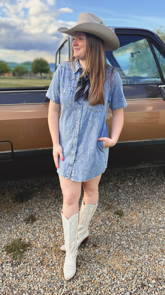 Dust & Denim Dress