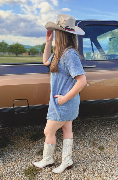 Dust & Denim Dress
