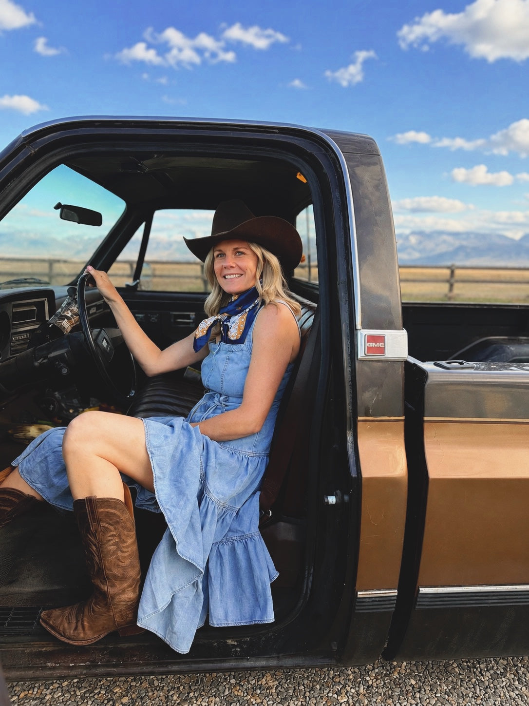 The Bluebird Denim Dress