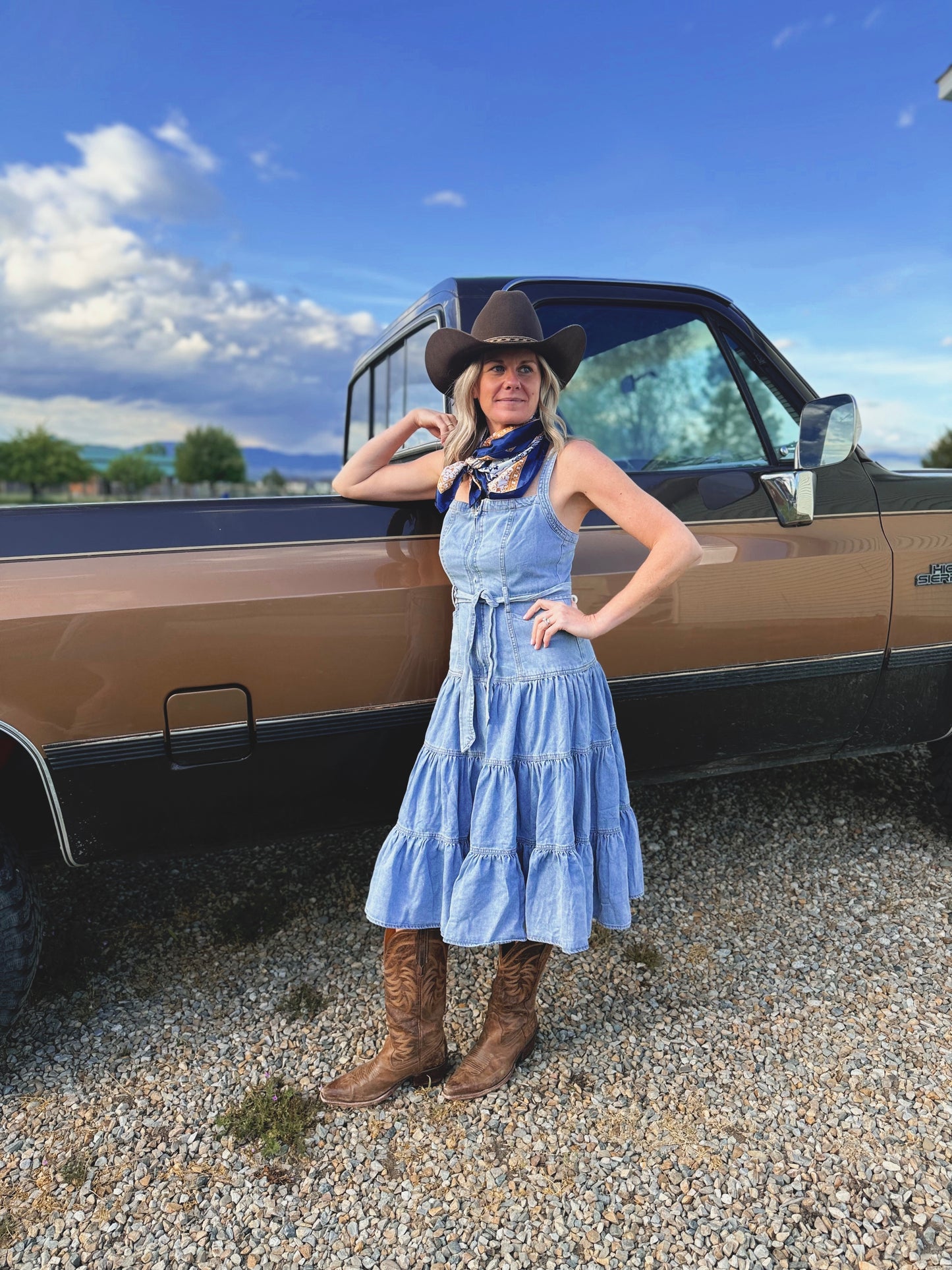 The Bluebird Denim Dress