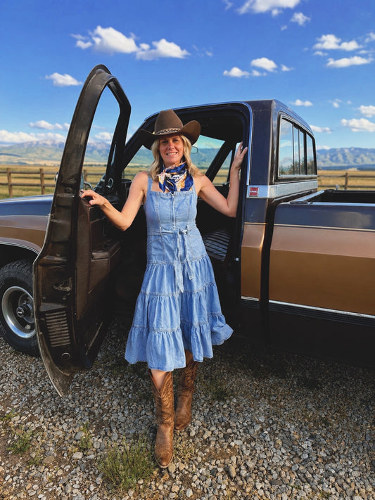 The Bluebird Denim Dress