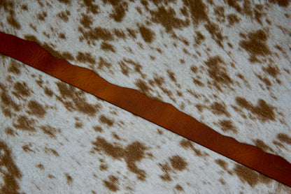 Mountainscape Leather Bands