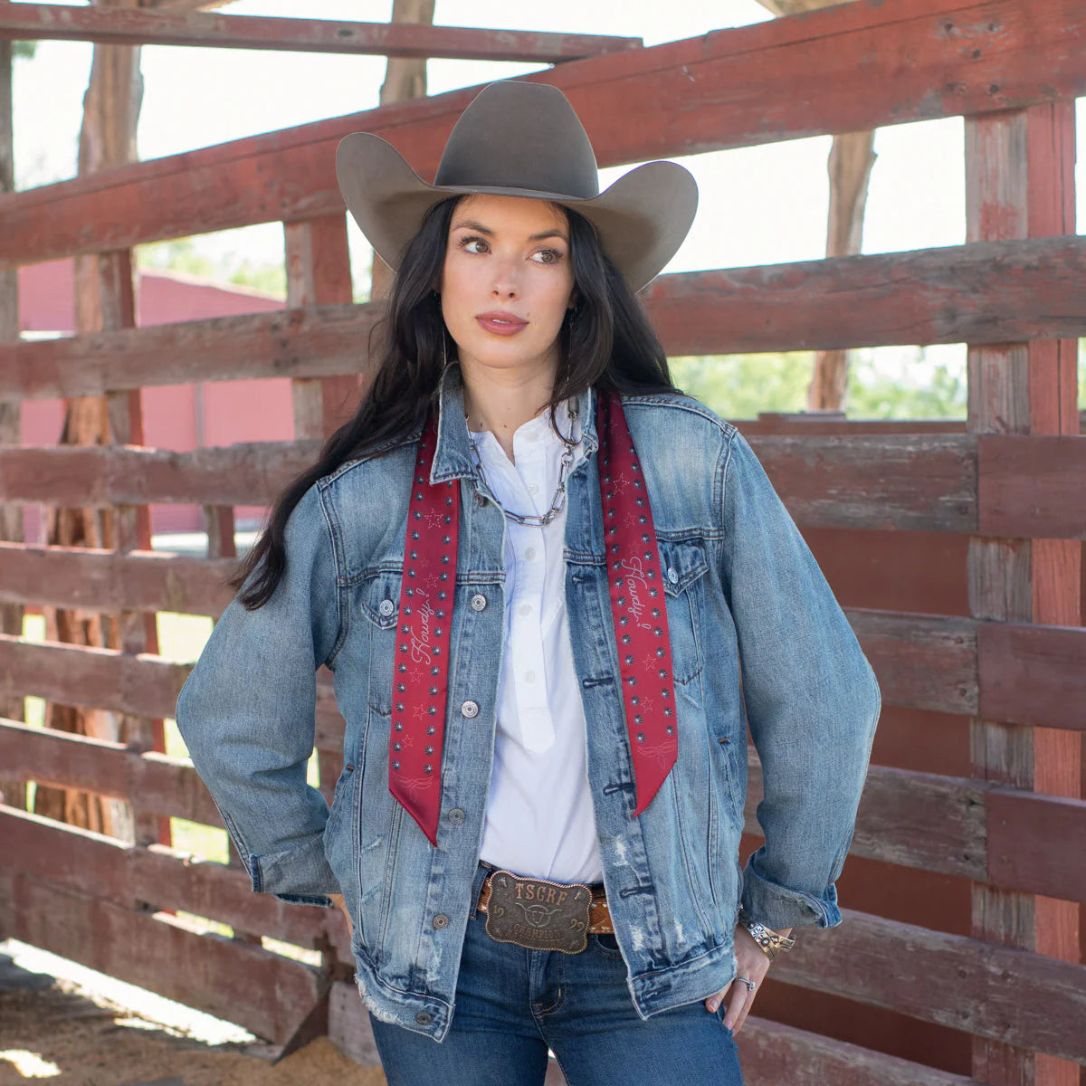 Howdy Twilly