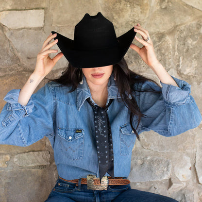 Howdy Twilly