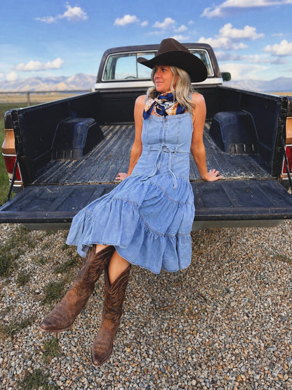 The Bluebird Denim Dress