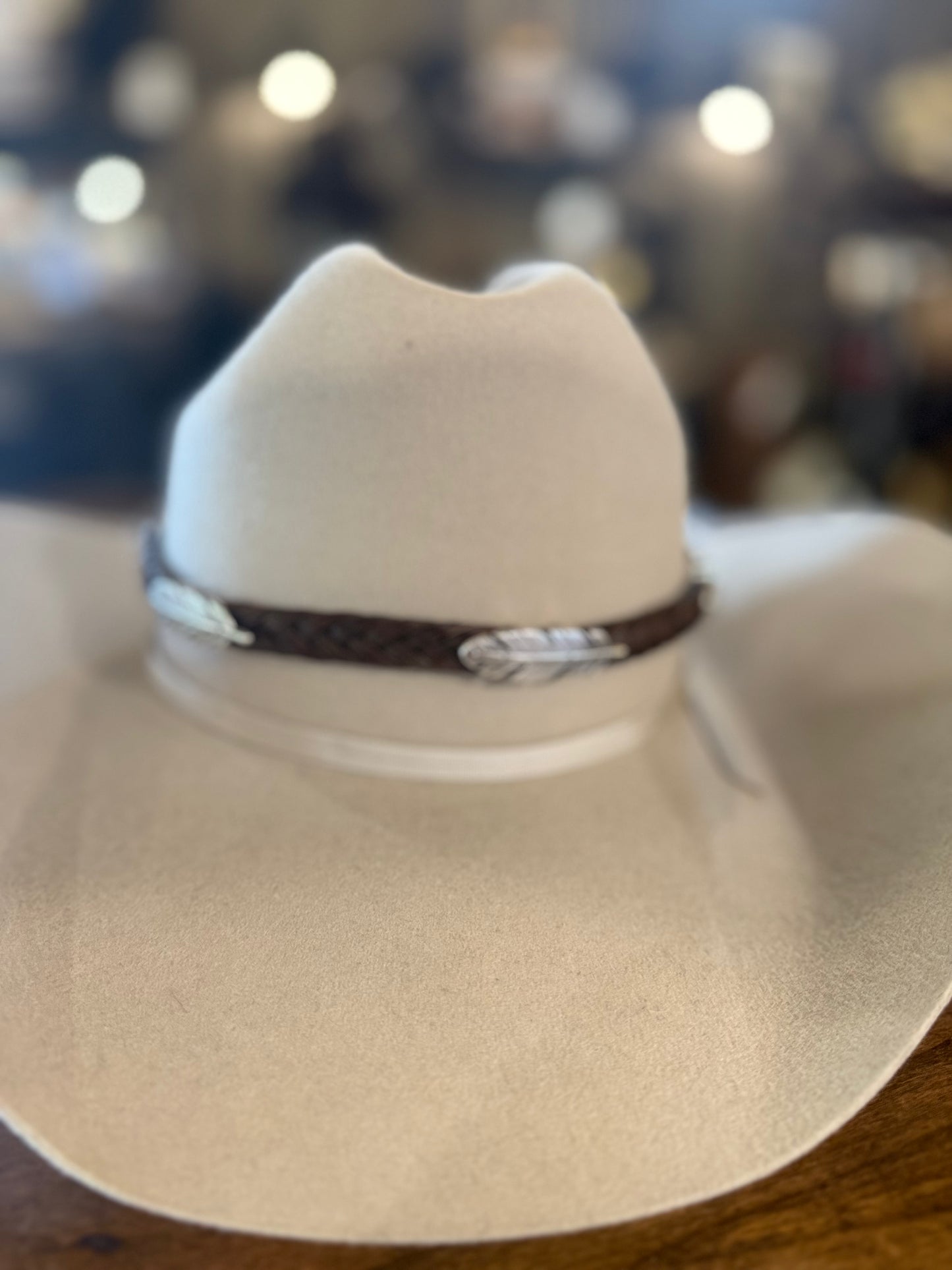 Silver Feather Horse Hair Hat Band