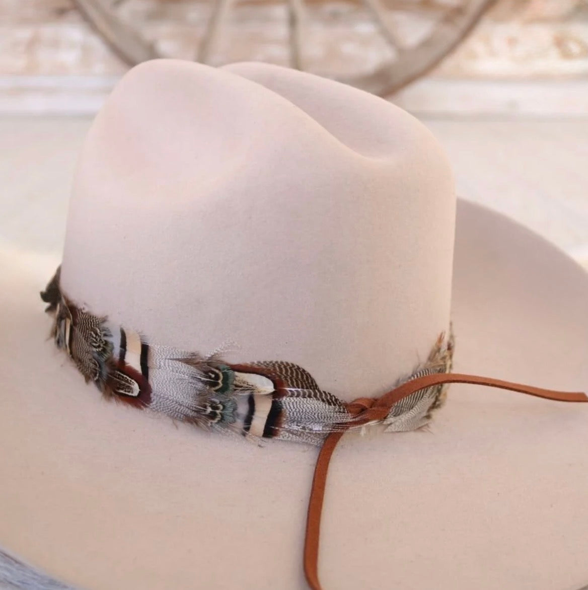 Beau Feather Hat Band