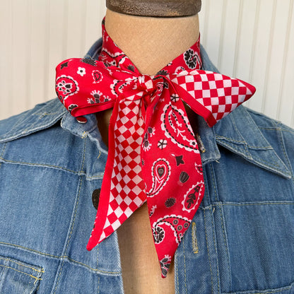 Luck Be a Paisley Twilly