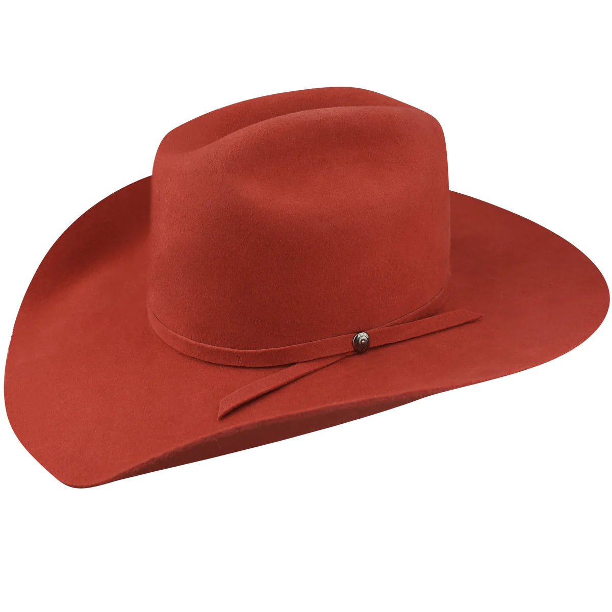 The Renegade Payson
